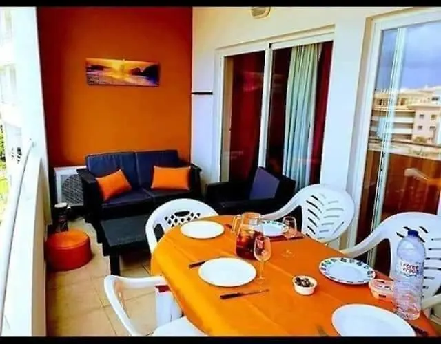 Da Rocha Flamingo Summer