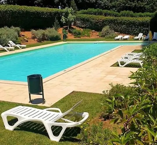 Da Rocha Flamingo Summer Portimão