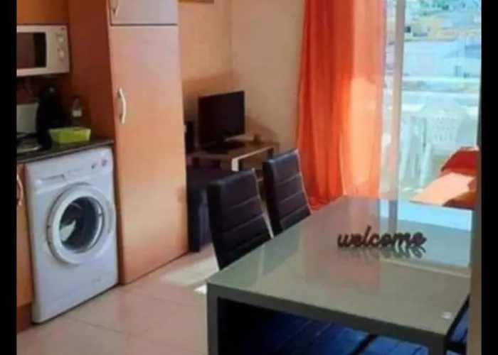 Da Rocha Flamingo Summer