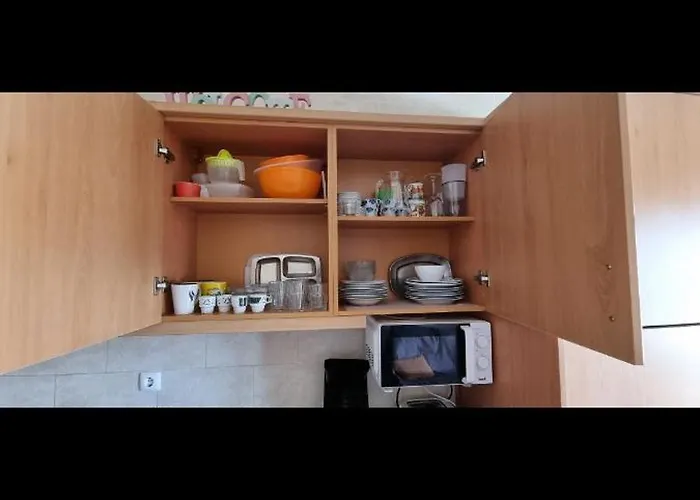 Da Rocha Flamingo Summer Portimão