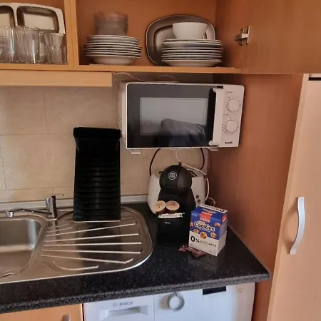 Da Rocha Flamingo Summer