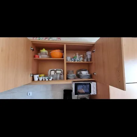 Da Rocha Flamingo Summer Portimão