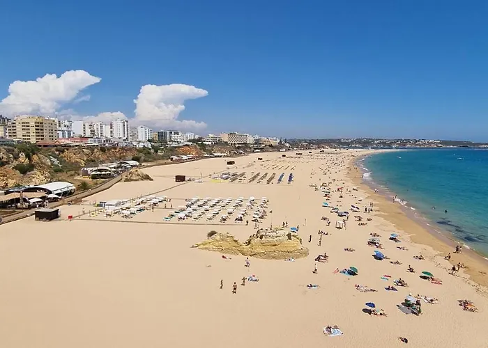 Da Rocha Flamingo Summer *