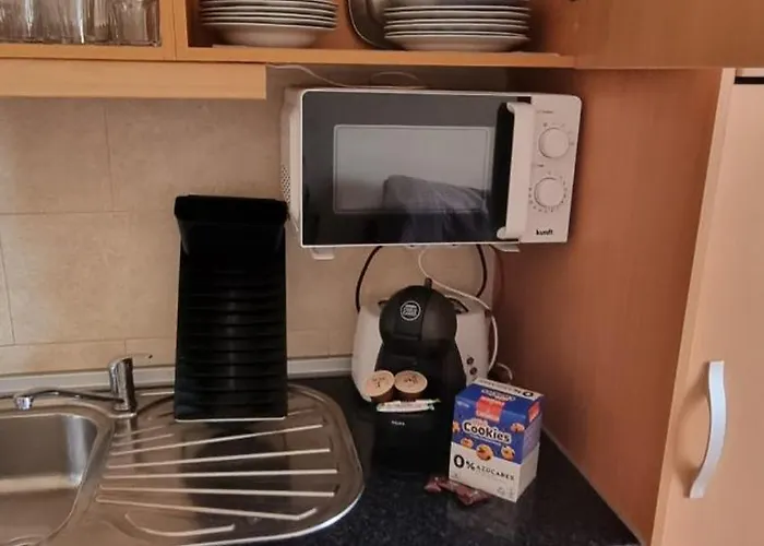 Da Rocha Flamingo Summer